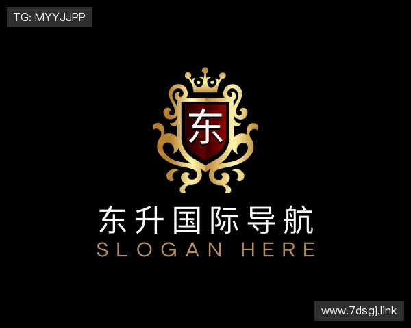 介绍东升国际导航